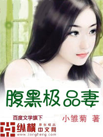 腹黑极品妻